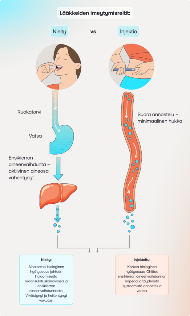 Drug absorption pathways