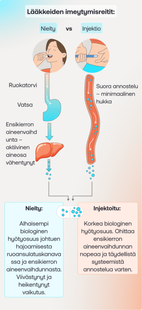 Drug absorption pathways